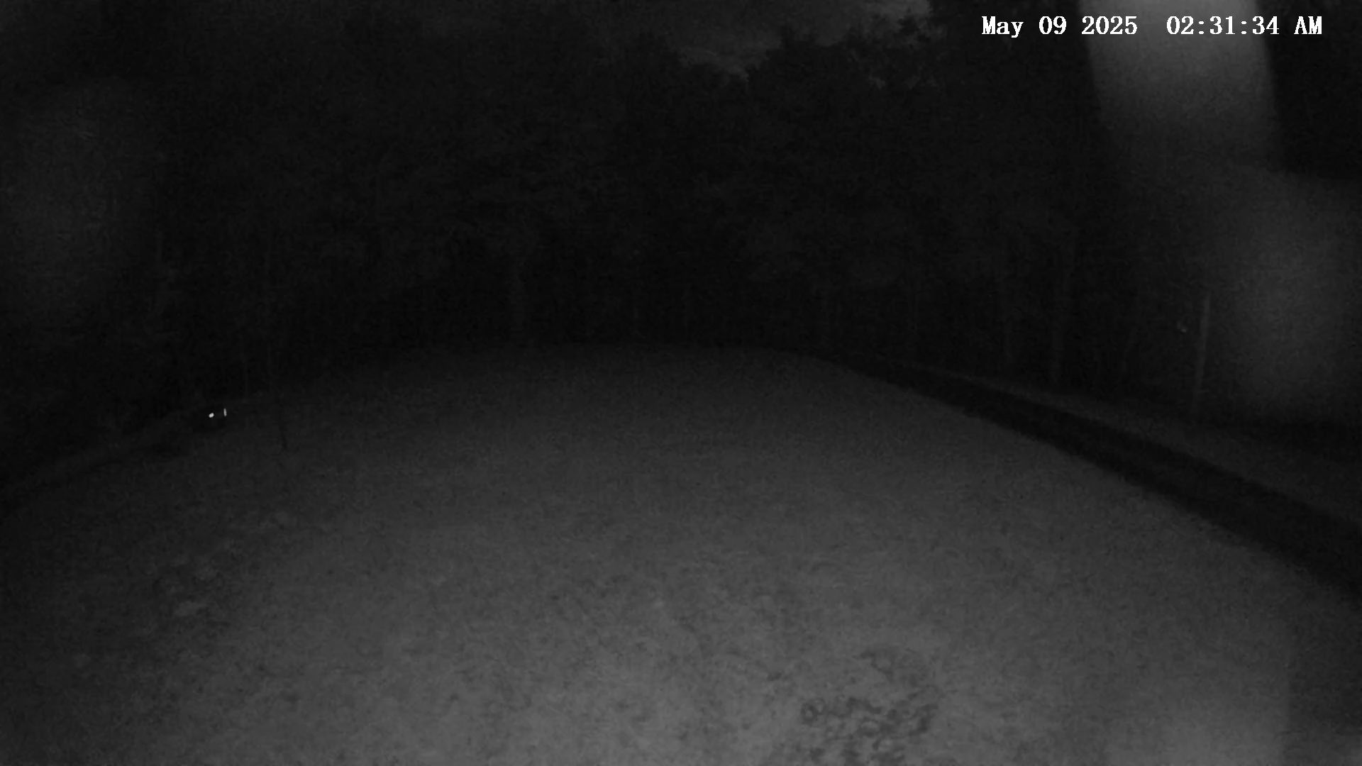 Camera Image