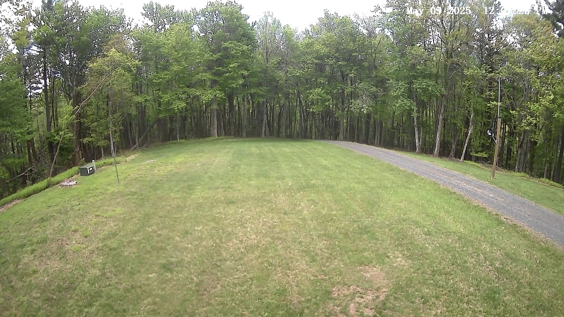 Camera Image