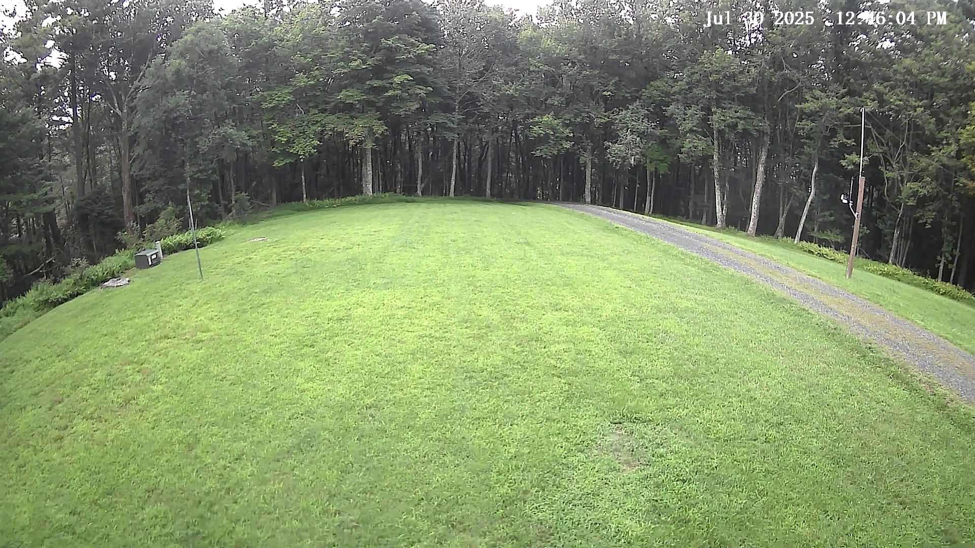 Camera Image