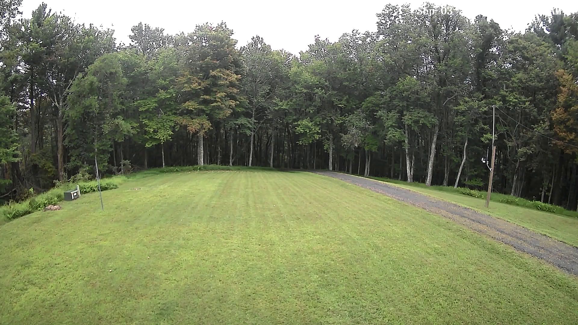 Camera Image