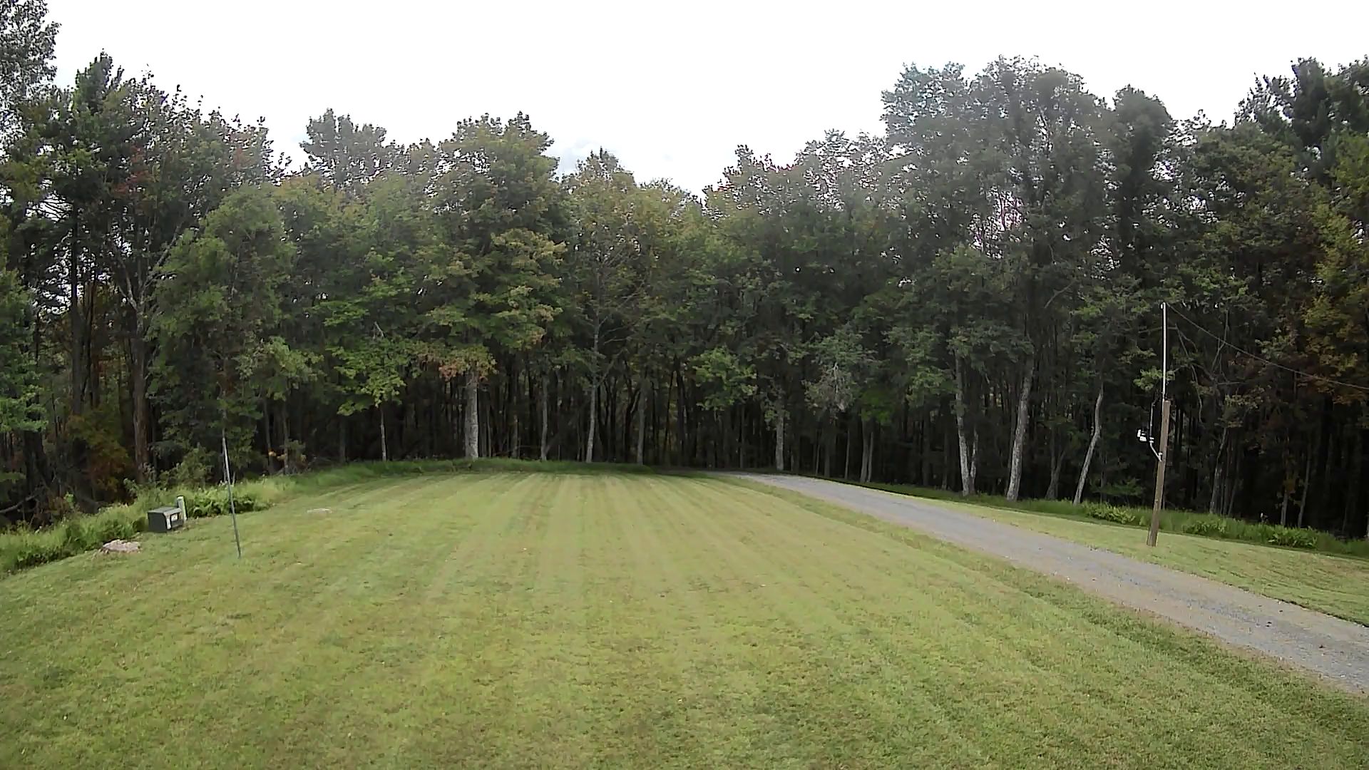 Camera Image
