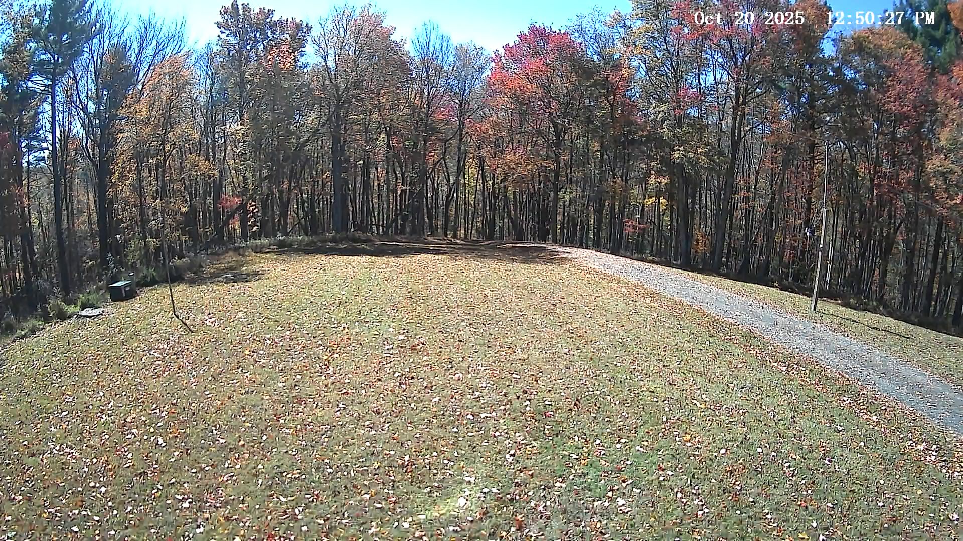 Camera Image