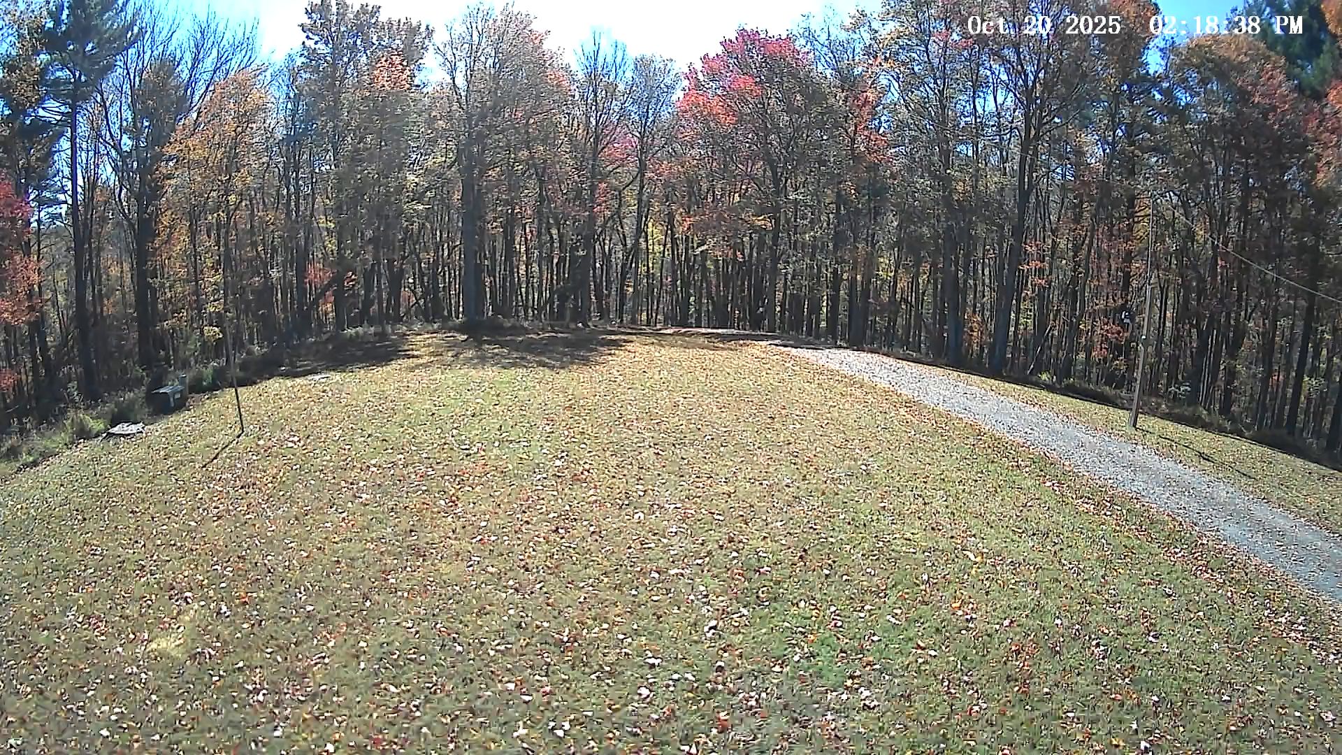 Camera Image