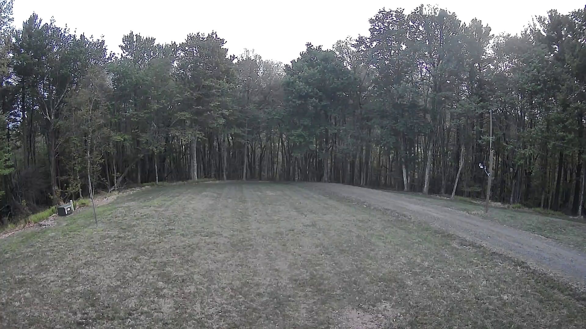 Camera Image