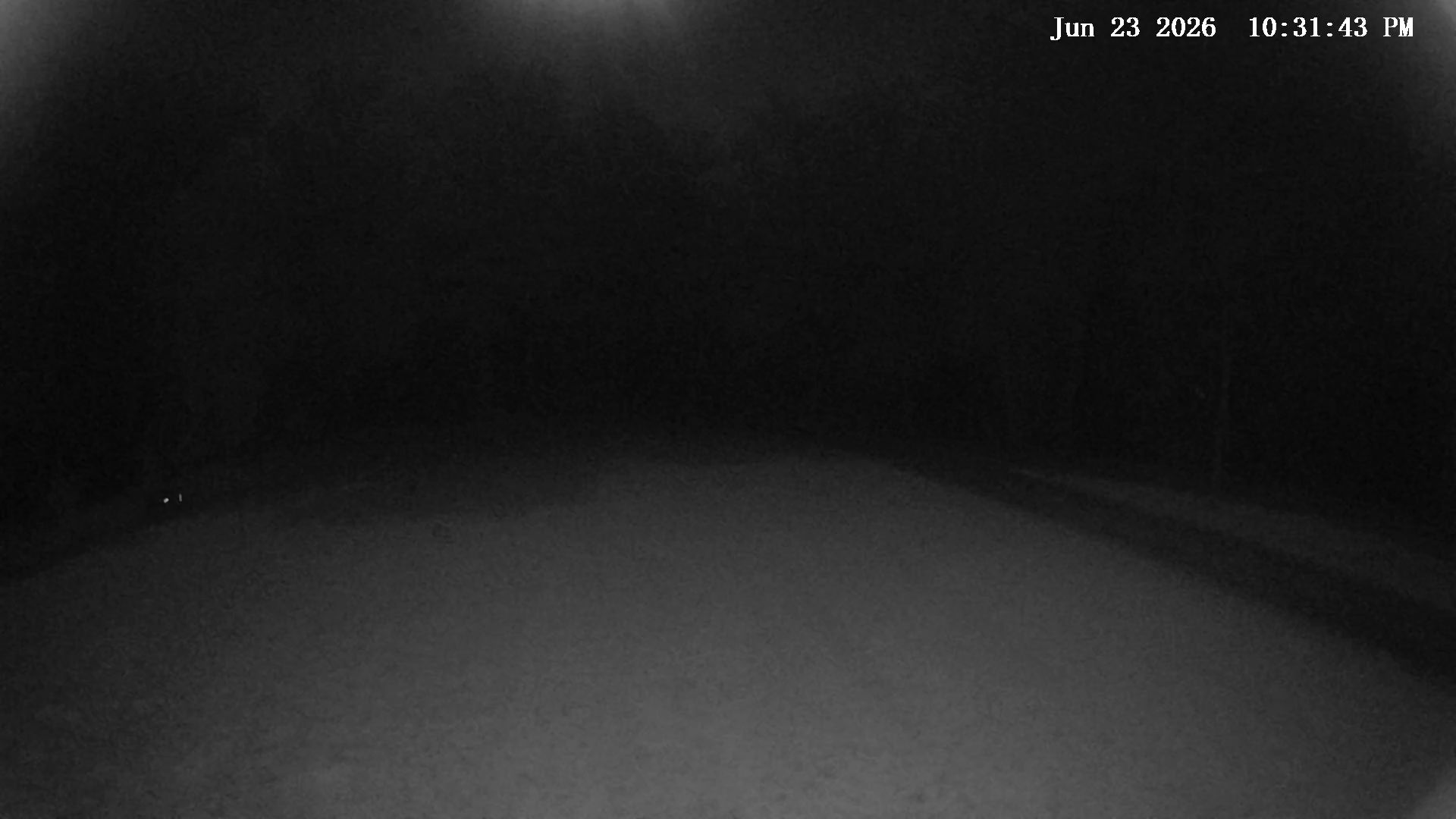 Camera Image
