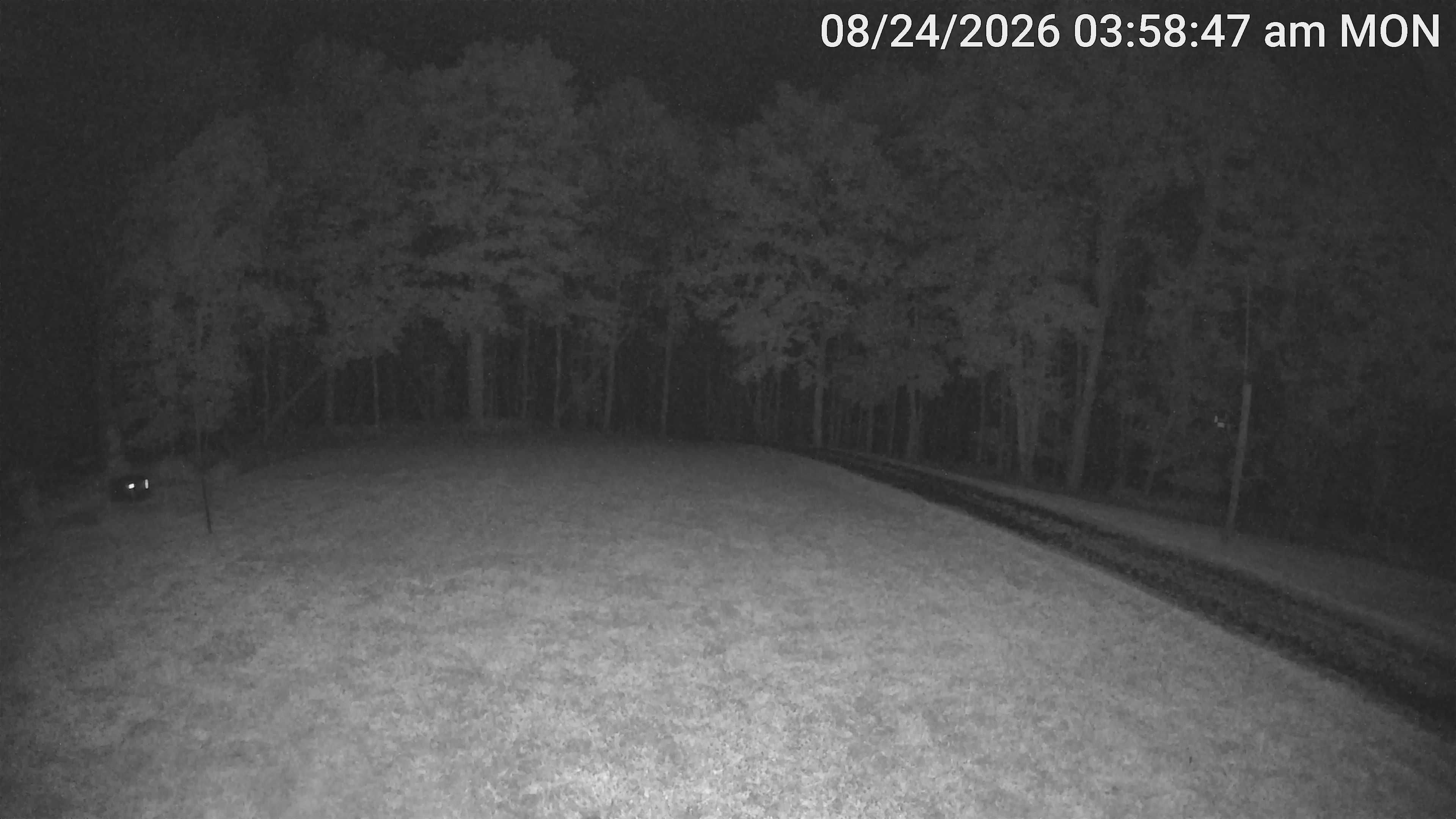 Camera Image