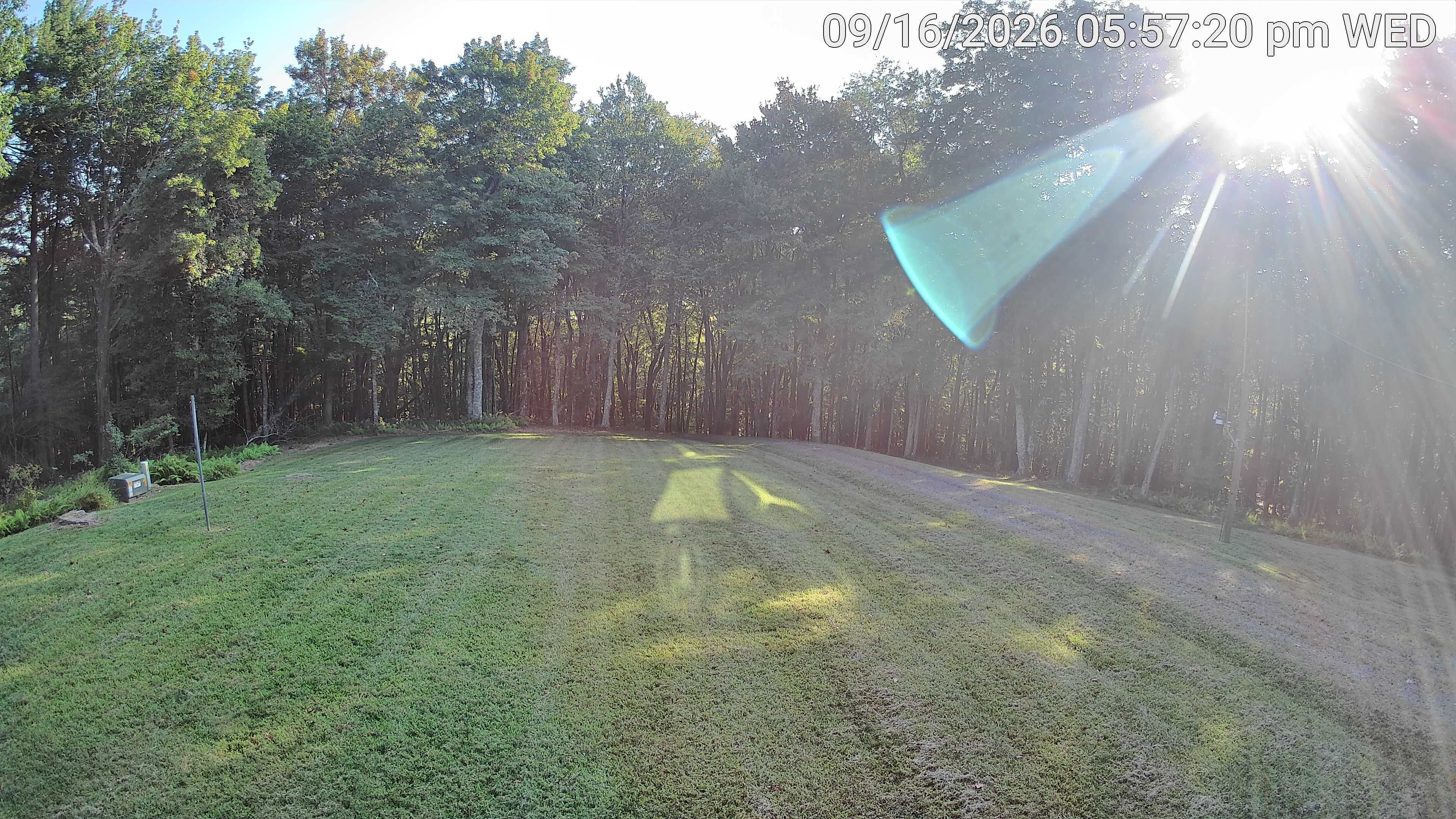 Camera Image