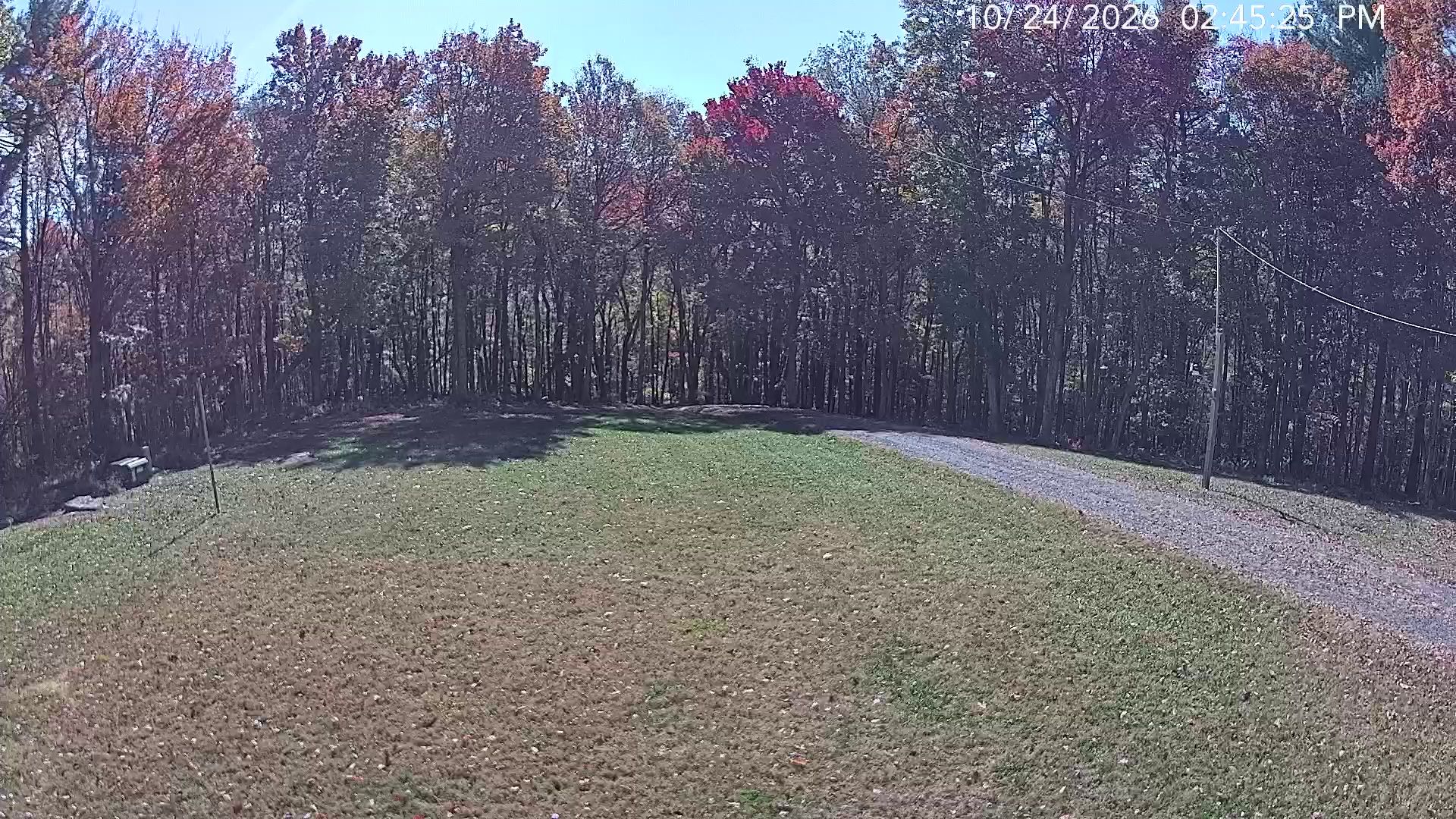 Camera Image