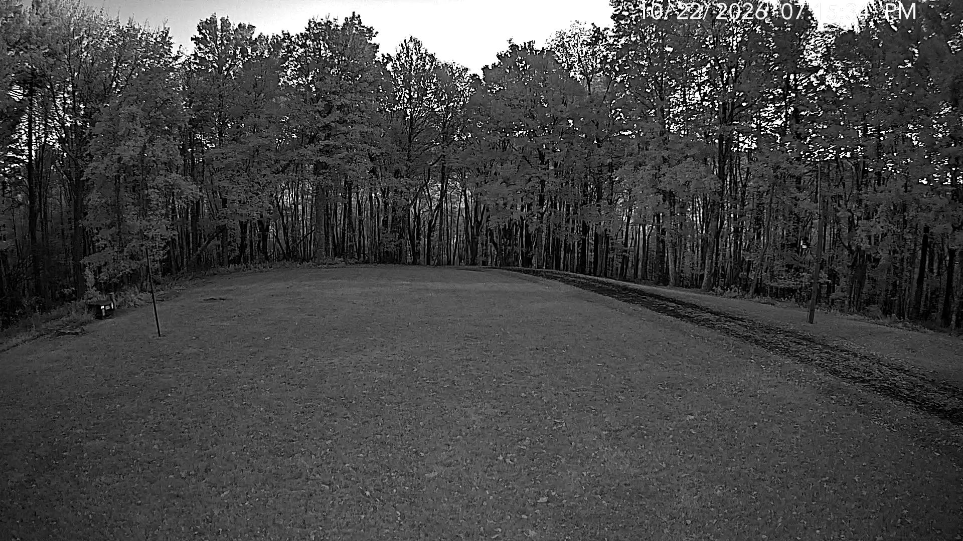 Camera Image